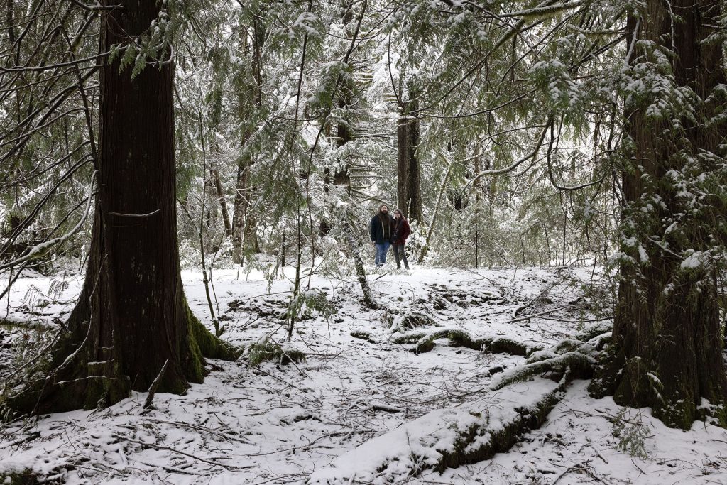 Snow covered woods with two people standing on a trail