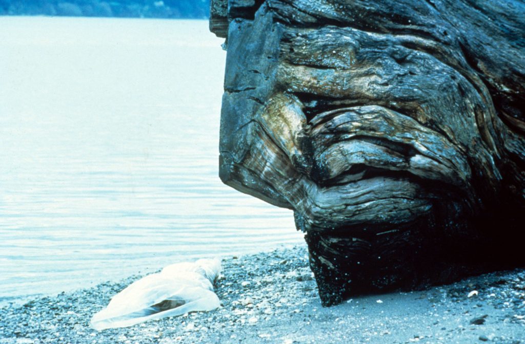 Laura Palmer's body wrapped in plastic by giant log