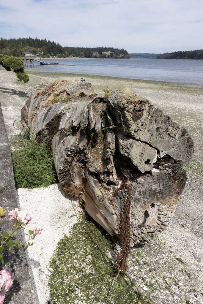 Laura Palmer's log tied down with chains