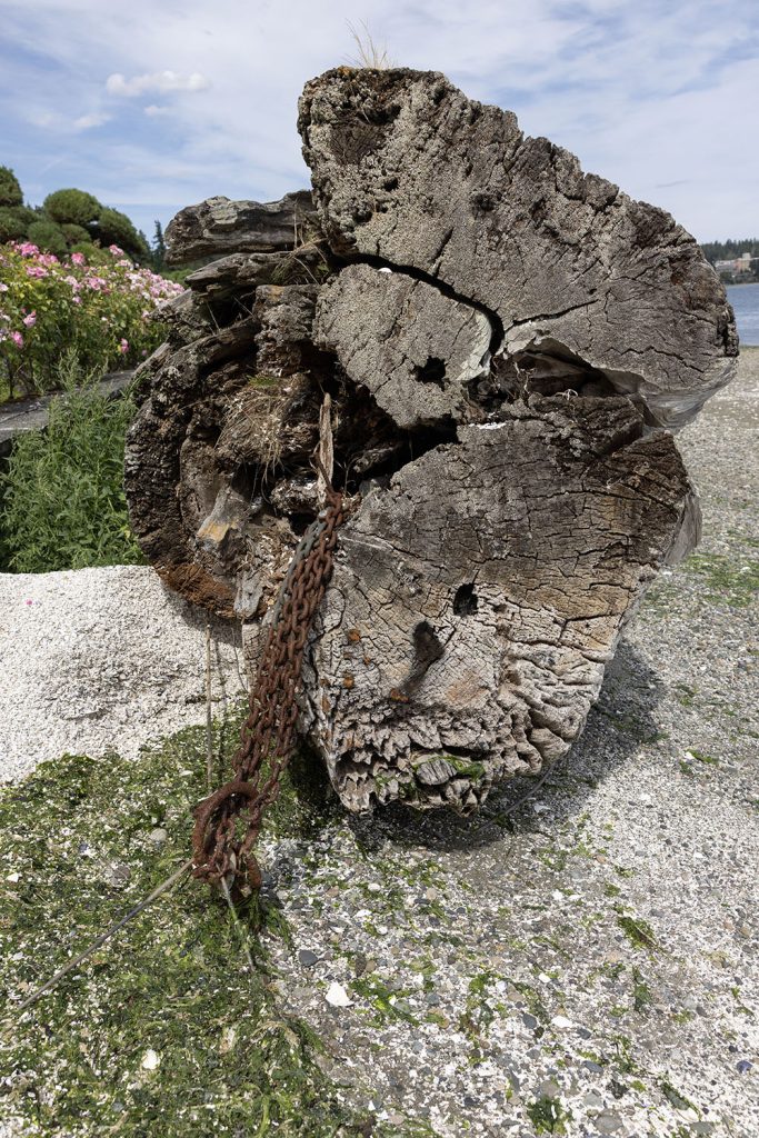 Laura Palmer's log tied down with chains