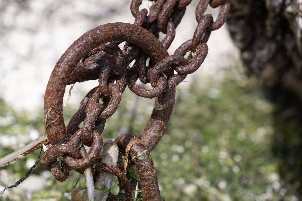 Laura Palmer's log tied down with chains