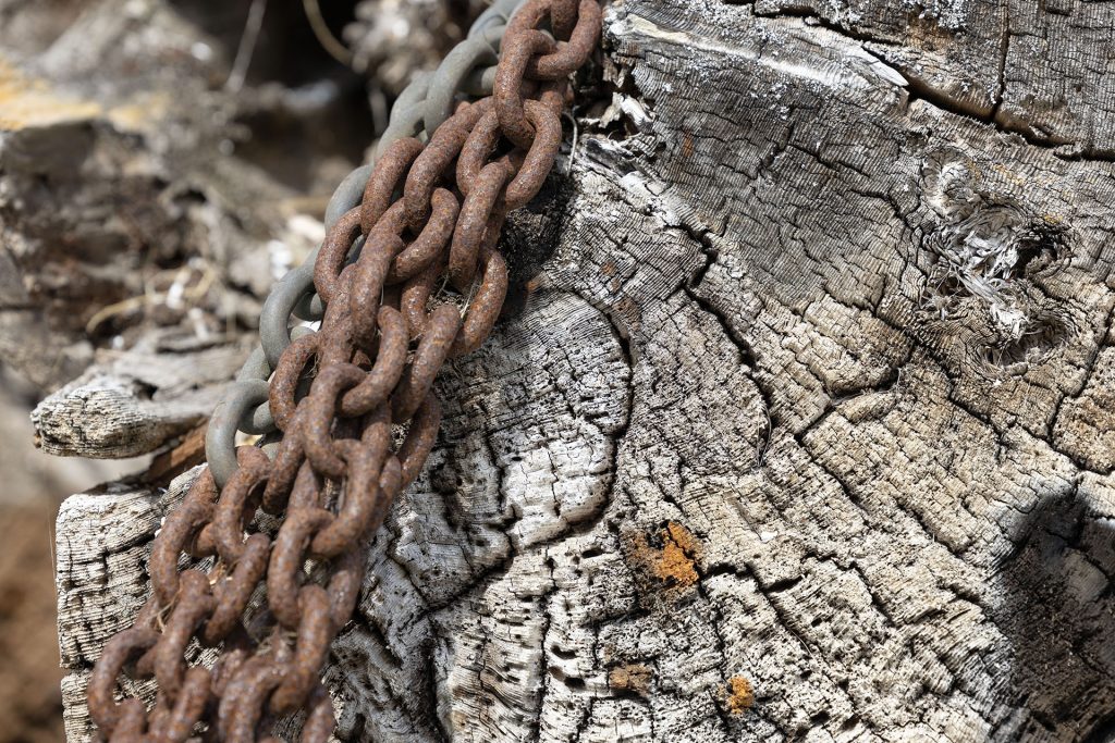 Laura Palmer's log tied down with chains