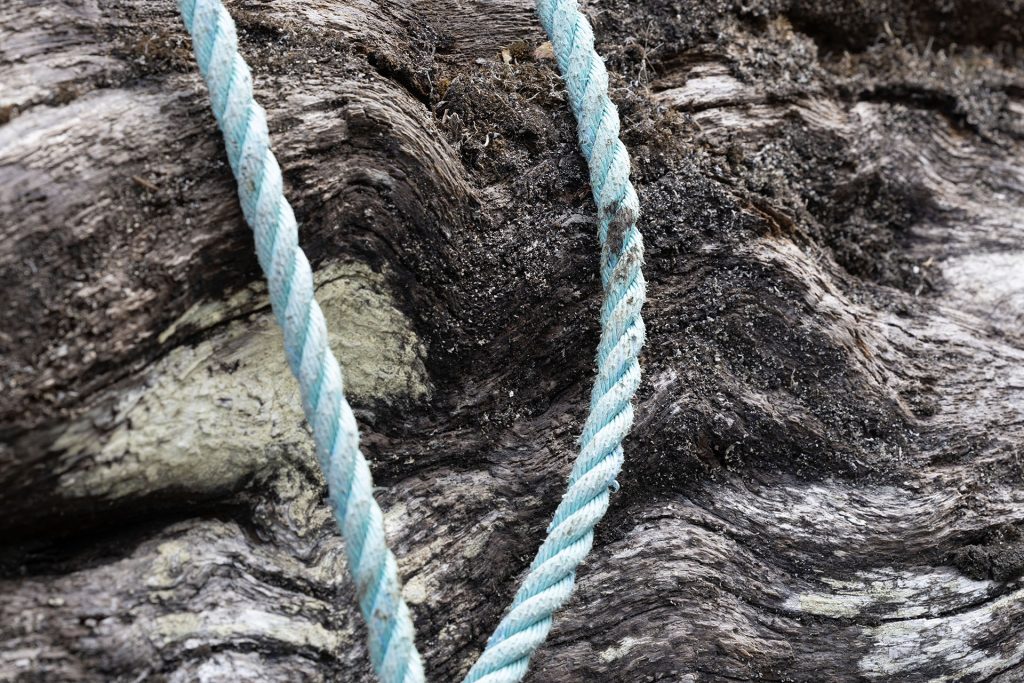 Log tied down with rope