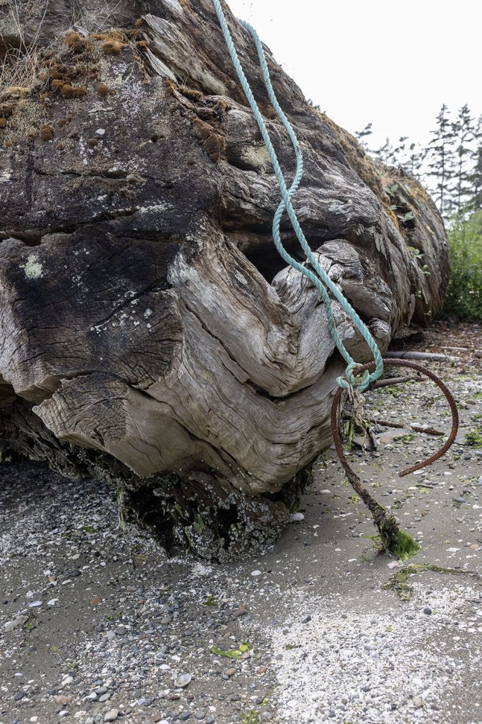 Log tied down with rope