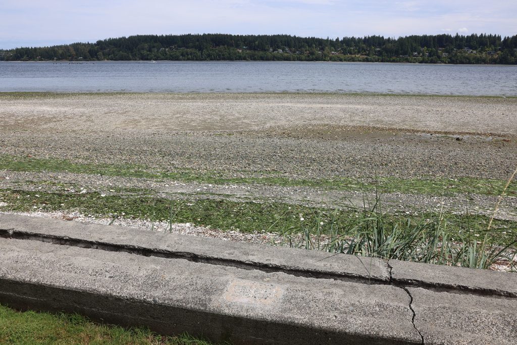 Spot along Kiana Lodge shore where Laura Palmer's log was located