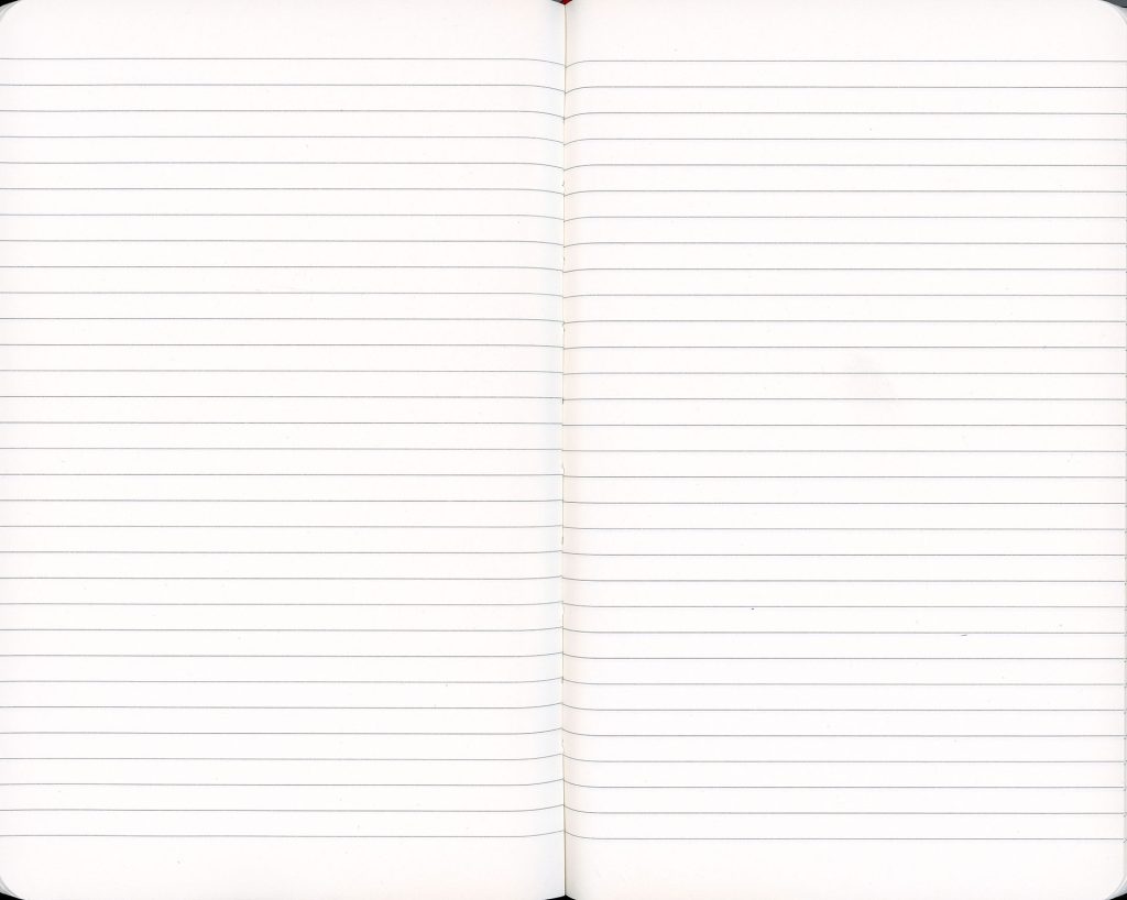 Blank pages from The Bookhouse Boys Journal by Insight Editions