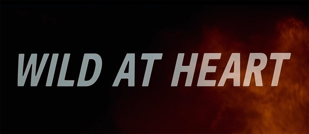 Wild at Heart Title Card