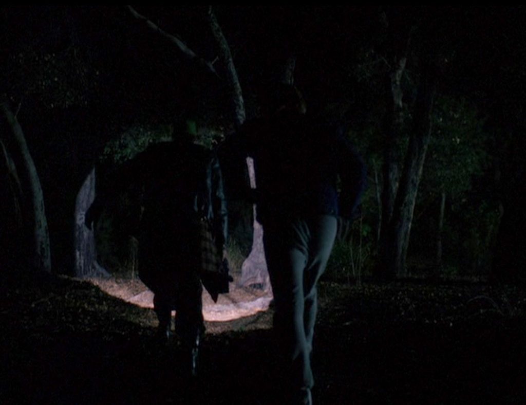 Bobby and Mike walking through woods at night