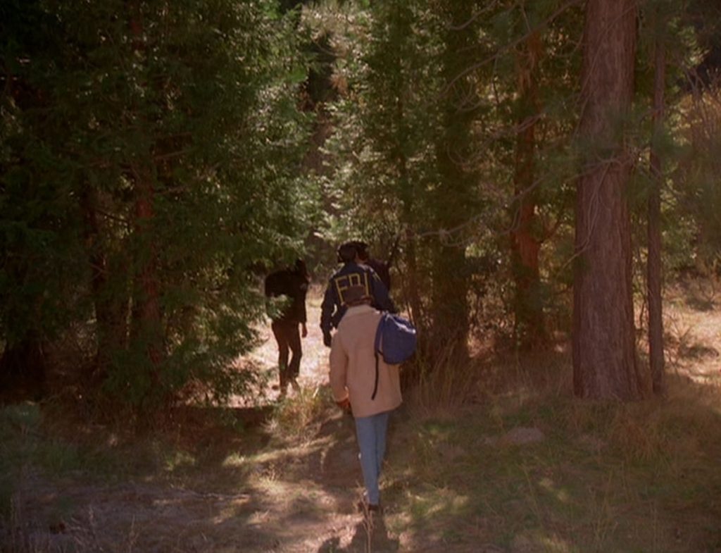 People hiking through woods