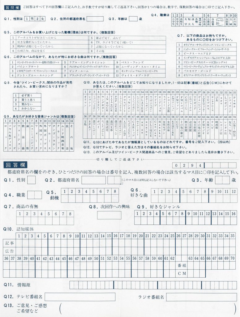 Survey in Japanese