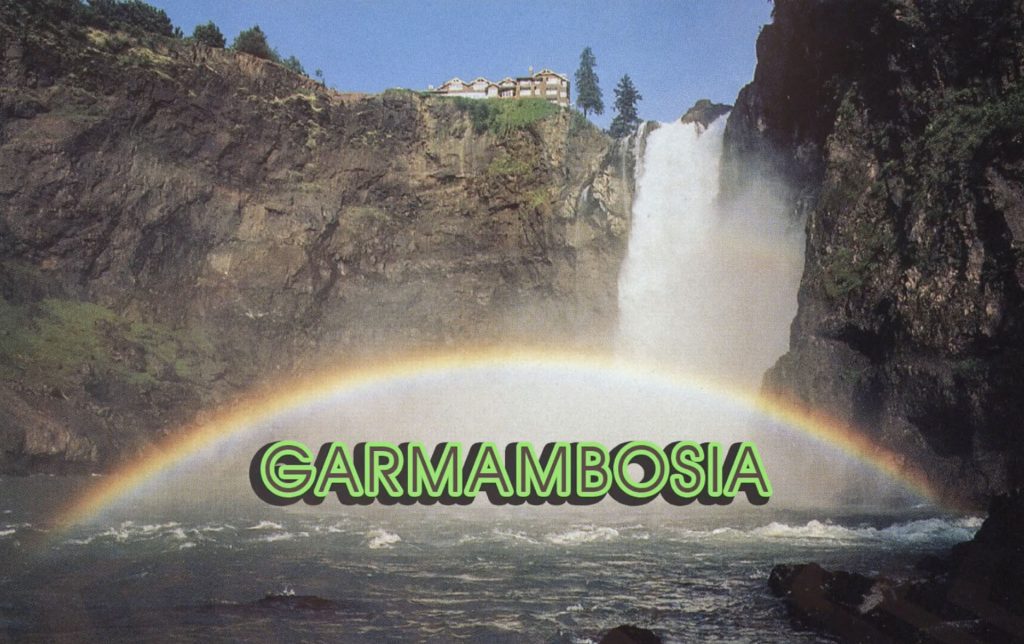 Snoqualmie Falls and The Salish Lodge with Garmambozia logo