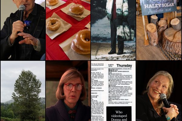 Twin Peaks Blog Year in Review collage