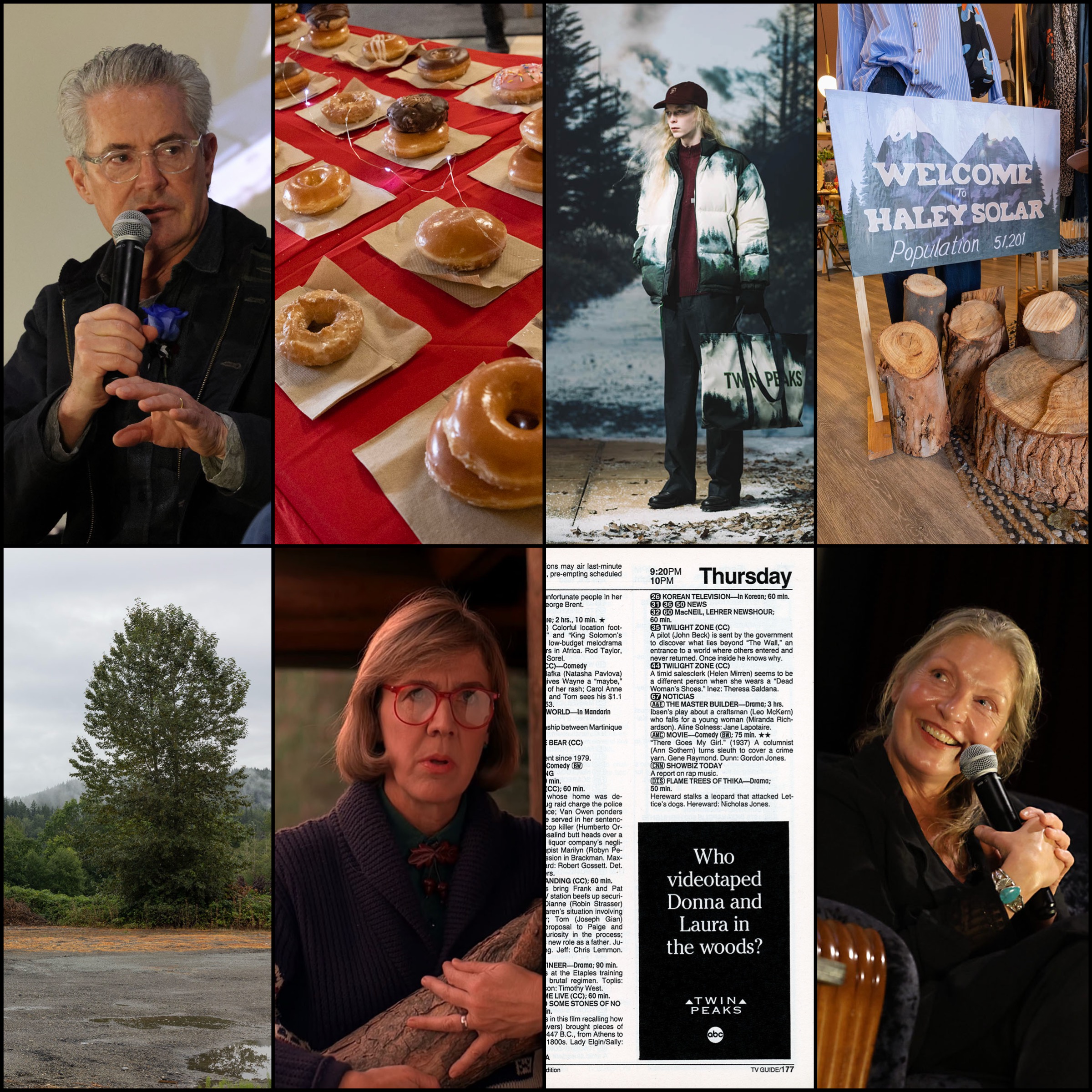 Twin Peaks Blog Year in Review collage