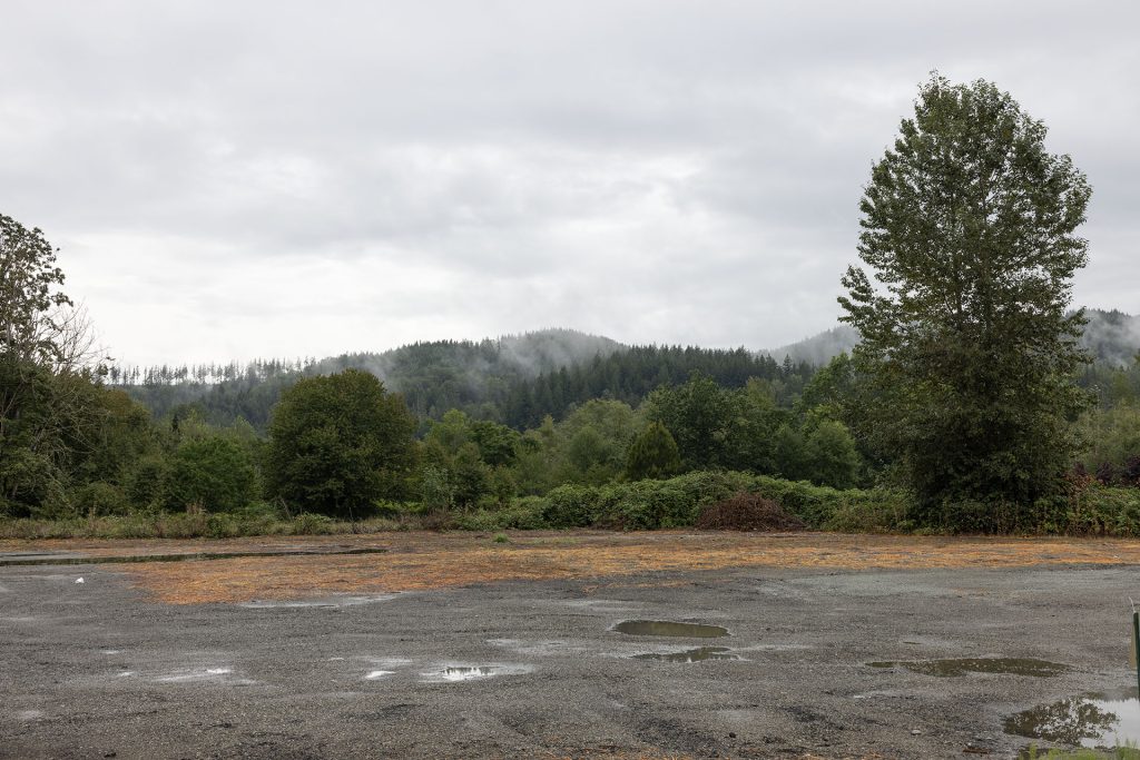 Empty lot surrounded by trees