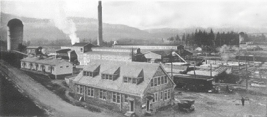 Buildings at Snoqualmie Lumber Company Mill