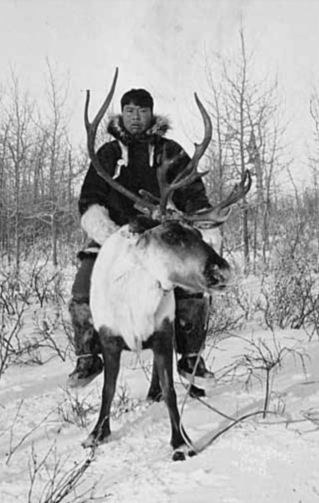 Thomas Sokweena riding his reindeer