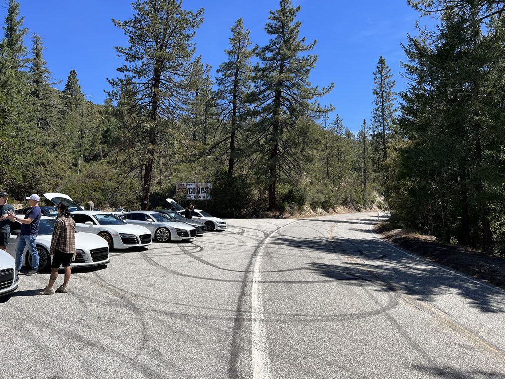 A road with cars parked near by and lined with tall trees