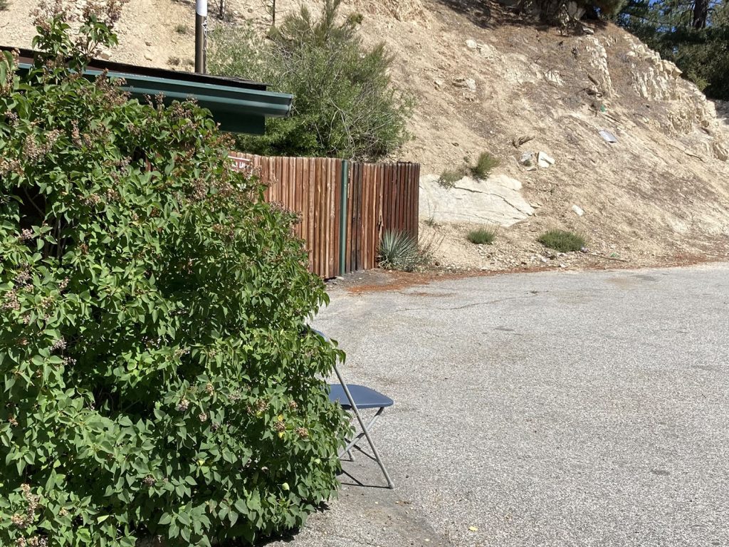 A bush and wooden fence by a parking lot