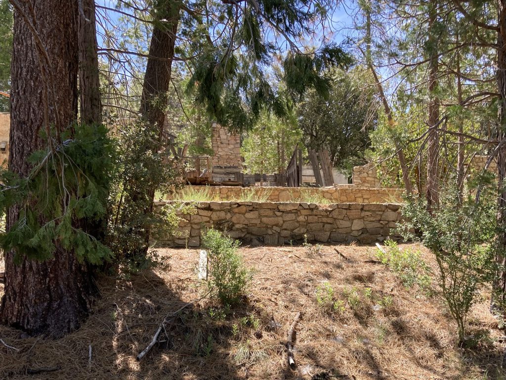 Remains of a brick cabin in the woods