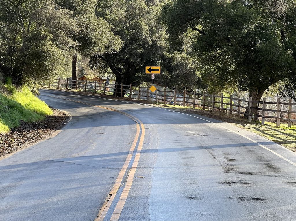 A curved road that cuts through trees 