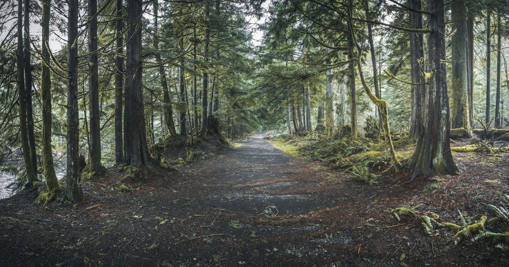 Weeks Falls Trail in Olallie State Park outside of North Bend, Washington