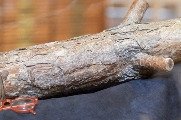 What the Log Saw – World Forestry Center Honors Log Lady Catherine Coulson The Log and Catherine Coulson's glasses