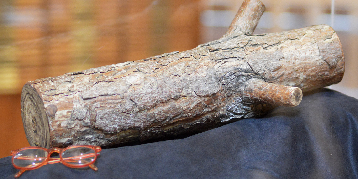 The Log and Catherine Coulson's glasses