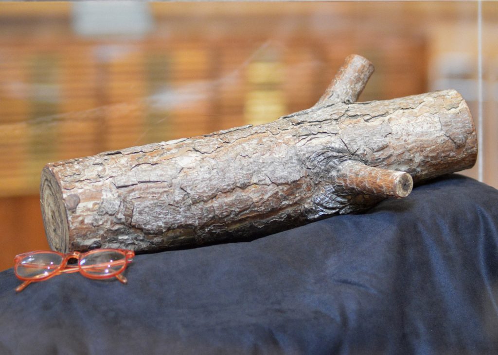 Front of Log with Red Glasses