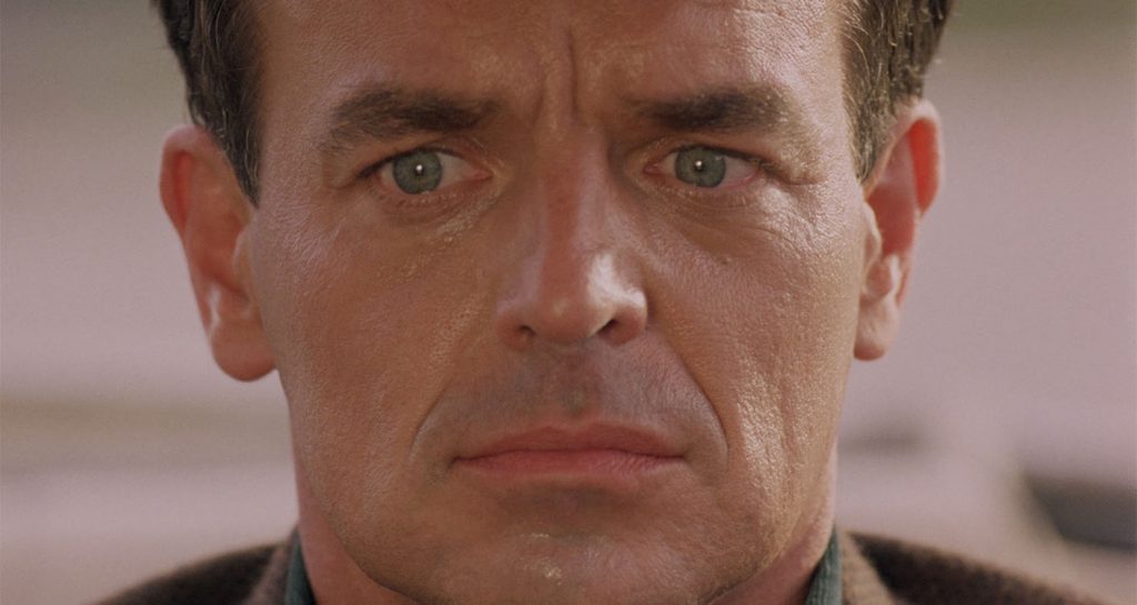 Leland Palmer's face