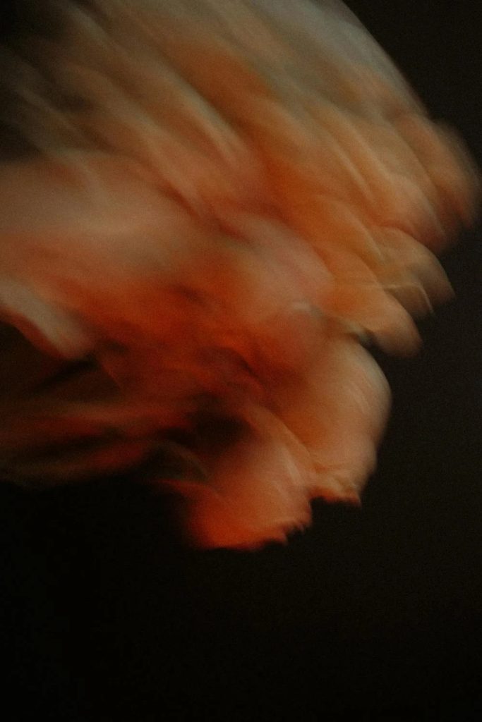 Blurry Orange