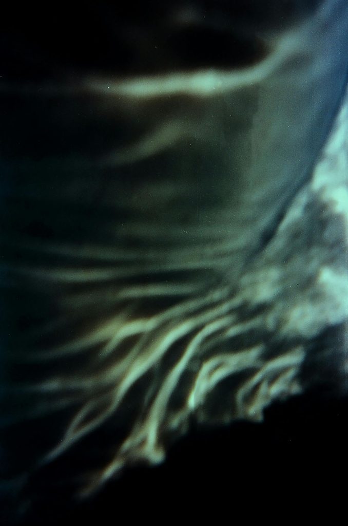 Close Up Of a Fish Tail