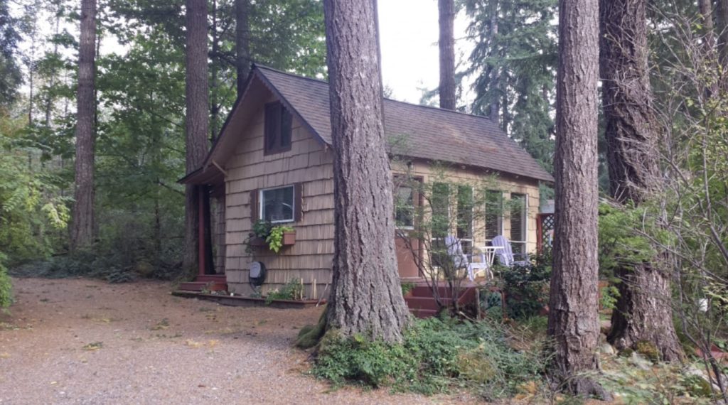 Herb's Place cabin in the woods