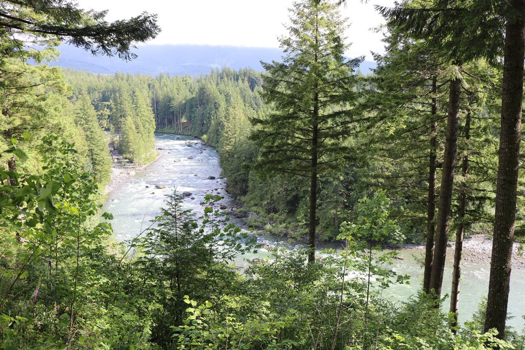 Snoqualmie River passing through trees