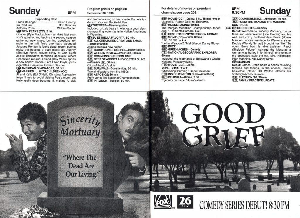 Television synopsisi