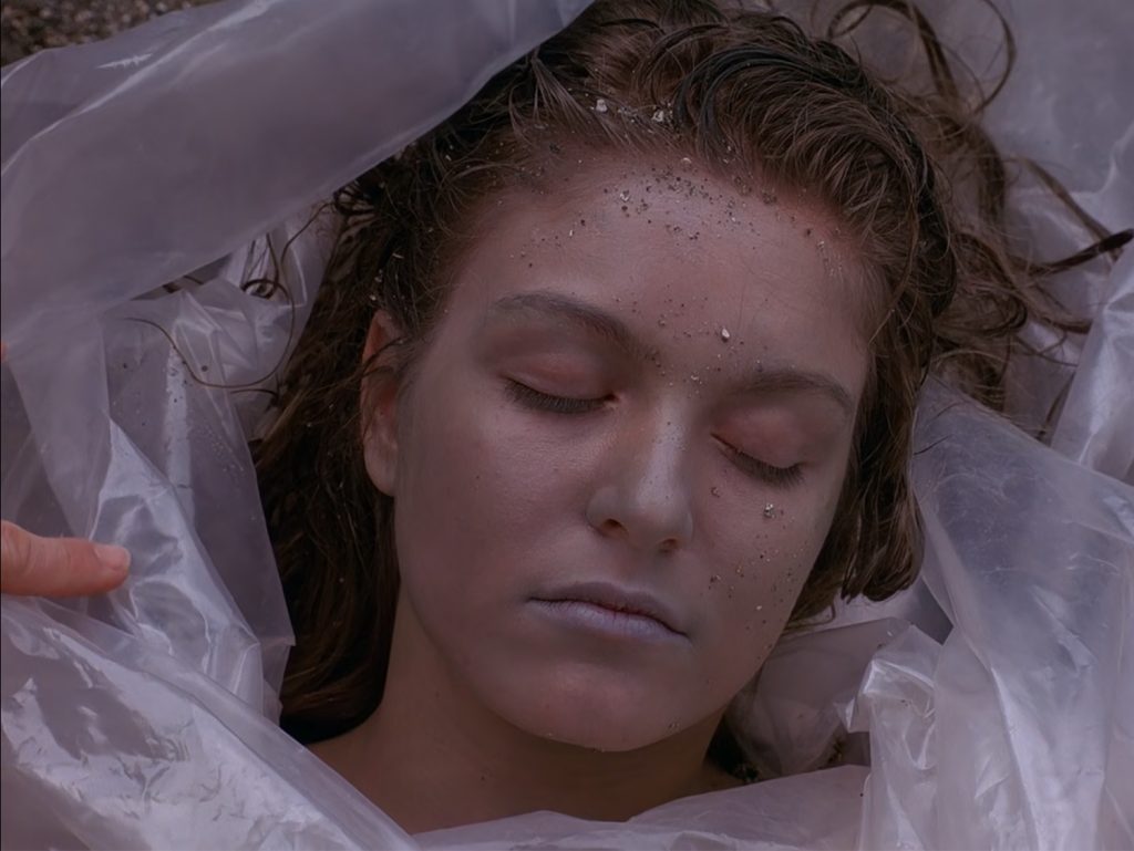 Laura Palmer wrapped in plastic