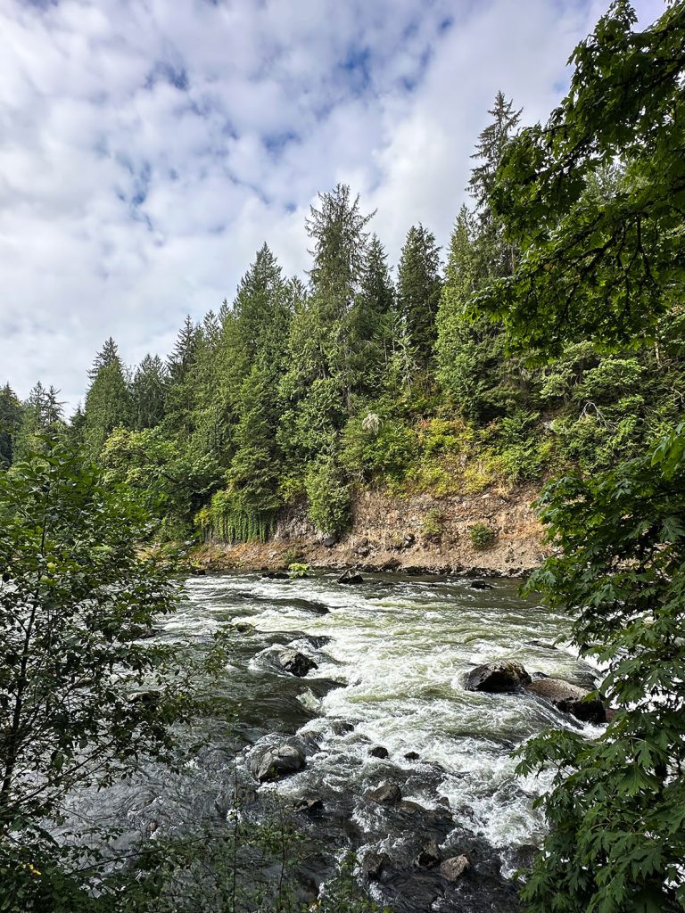 Snoqualmie River from the Lower Observation Point