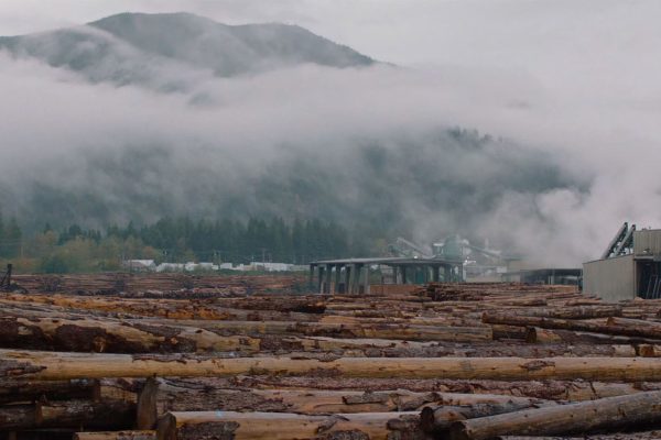Lumber mill with stacked logs and a mountain in the distance