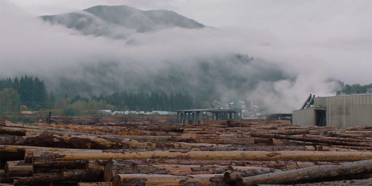 Lumber mill with stacked logs and a mountain in the distance
