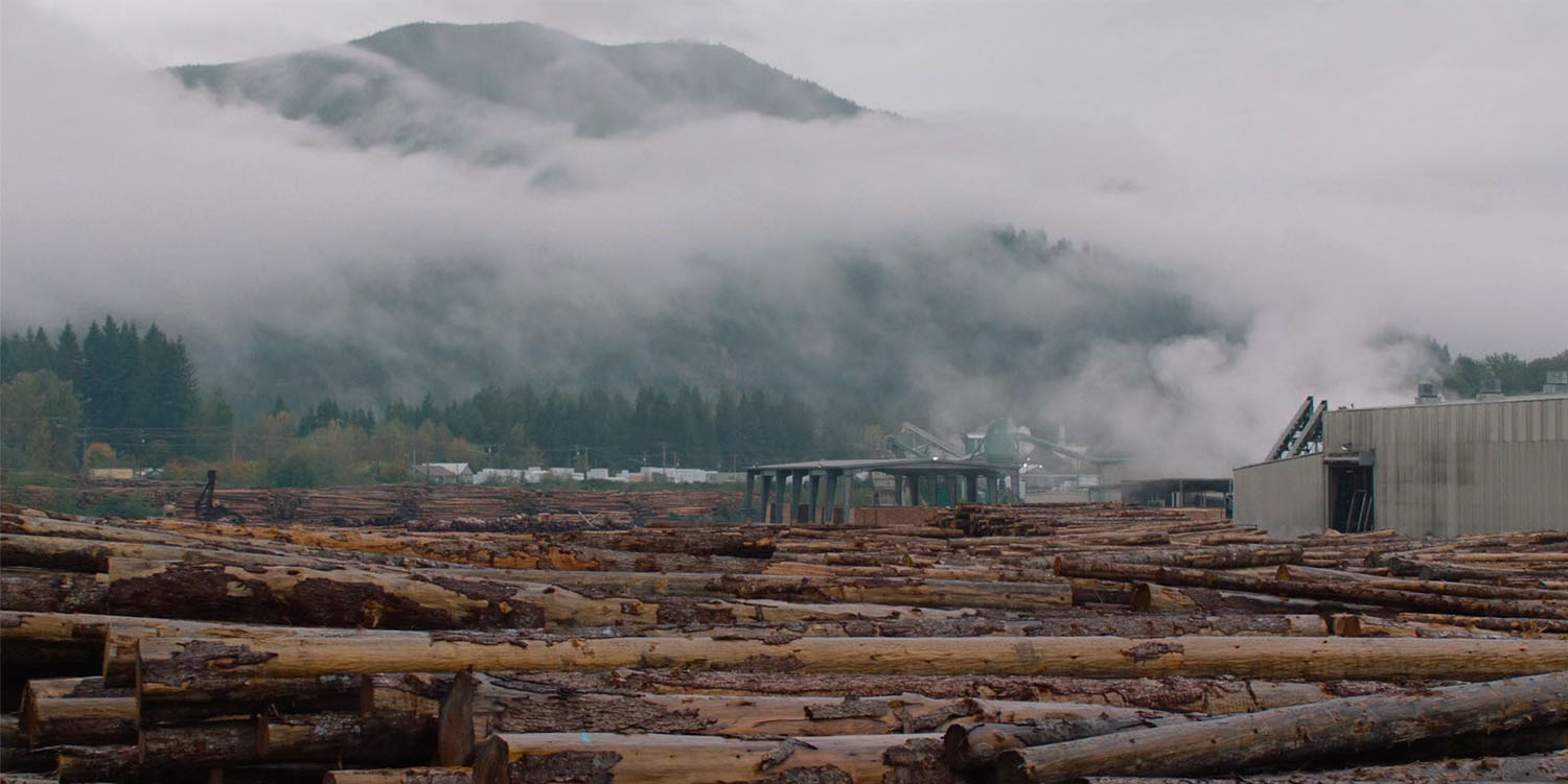 Lumber mill with stacked logs and a mountain in the distance