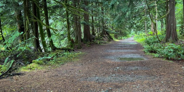 Weeks Falls Trail