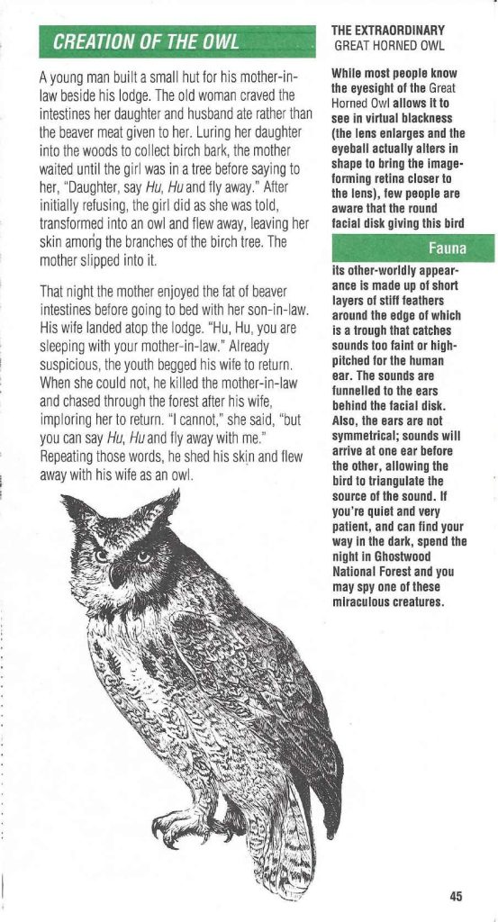 Twin Peaks Access Guide to the Town with owl drawing