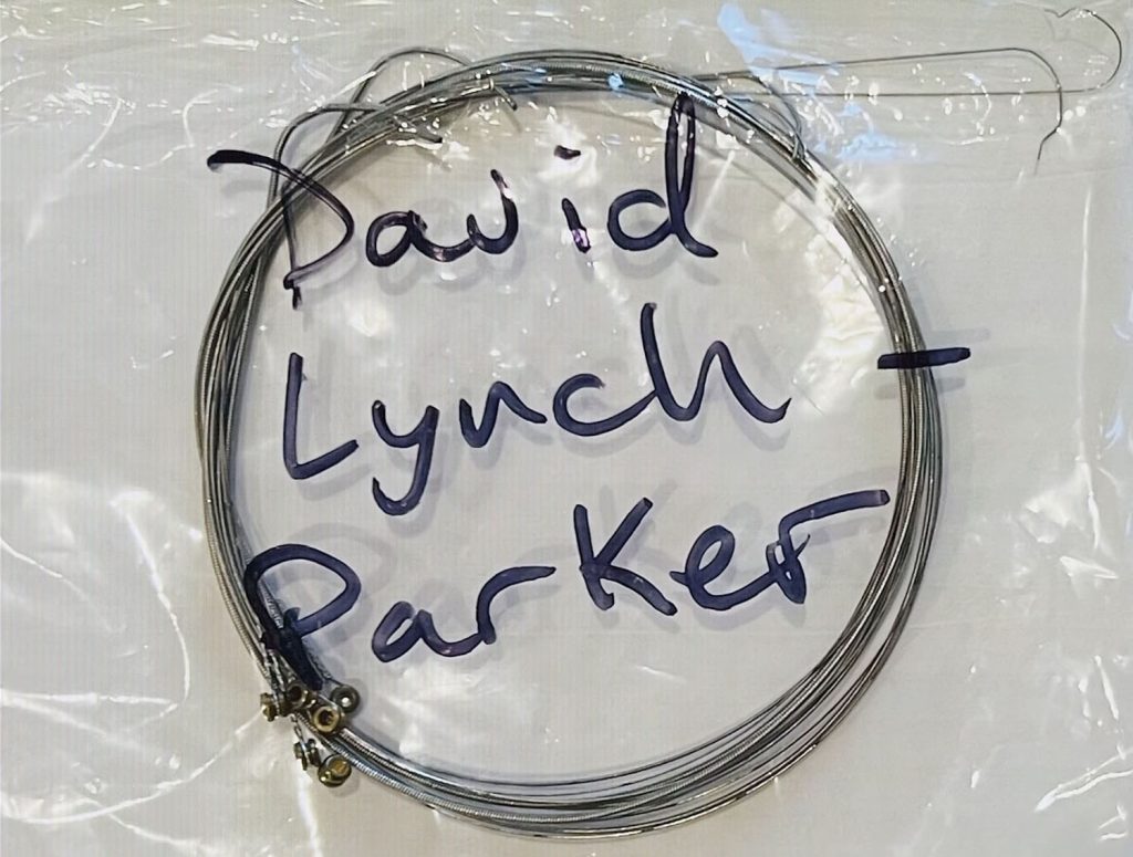 David Lynch's Parker Strings
