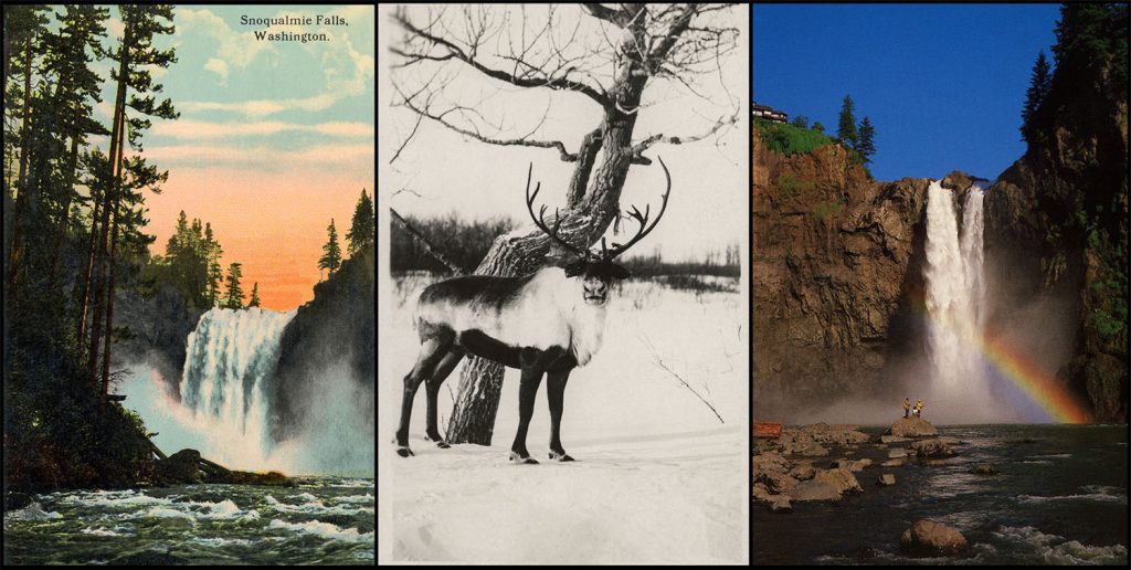 Three postcard images