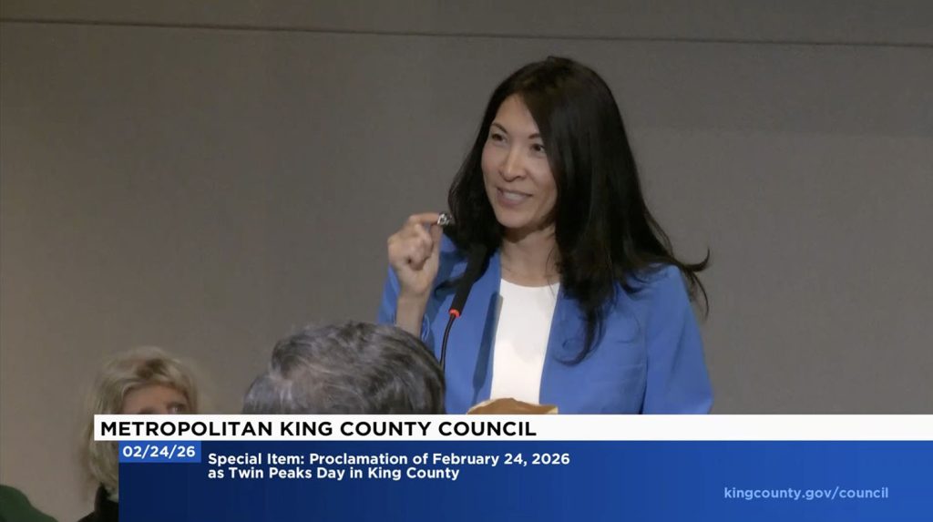 District 5 Councilmember Steffani Fain