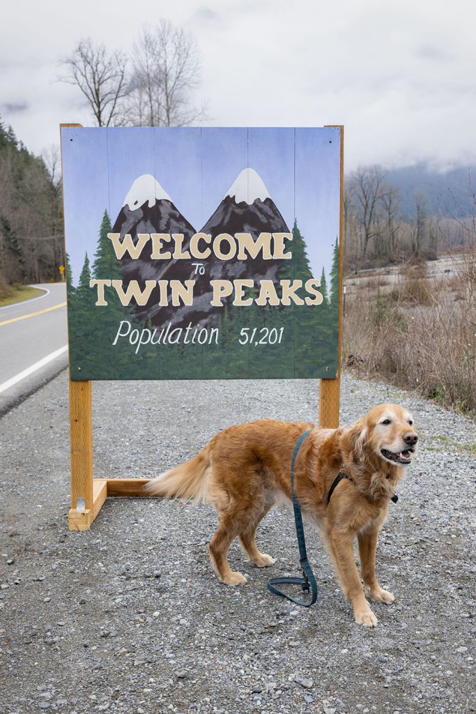 Golden Retriever by Welcome to Twin Peaks Sign