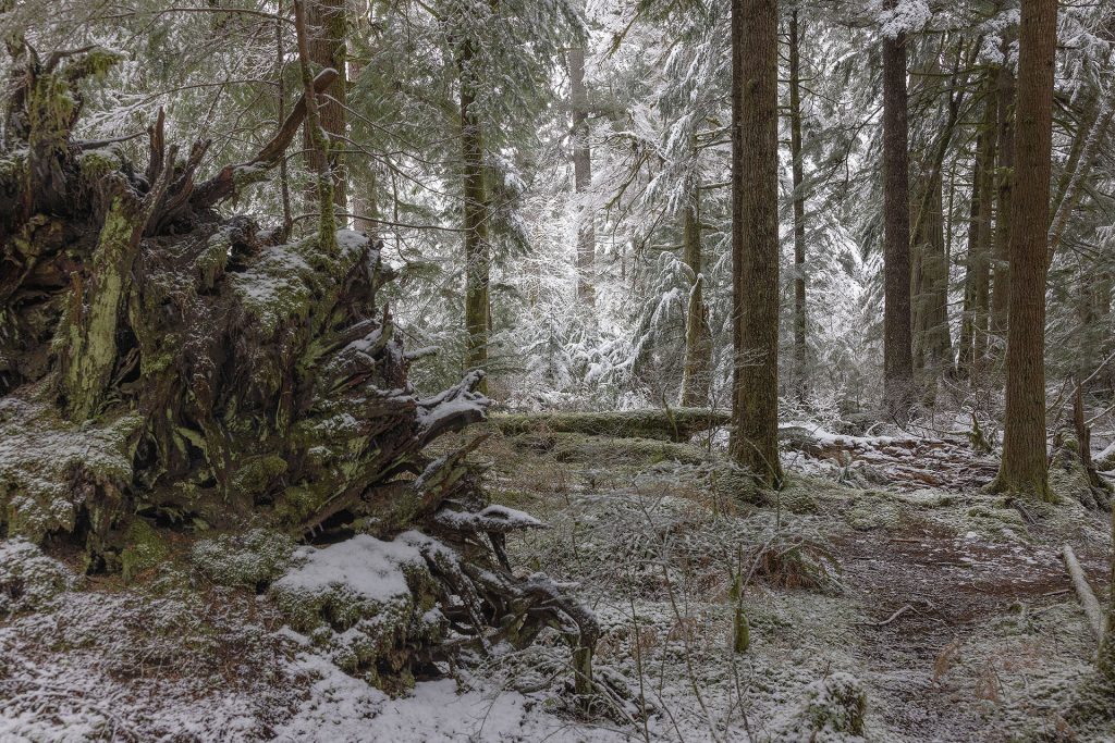 Naido's Spot from Part 17 in the snow