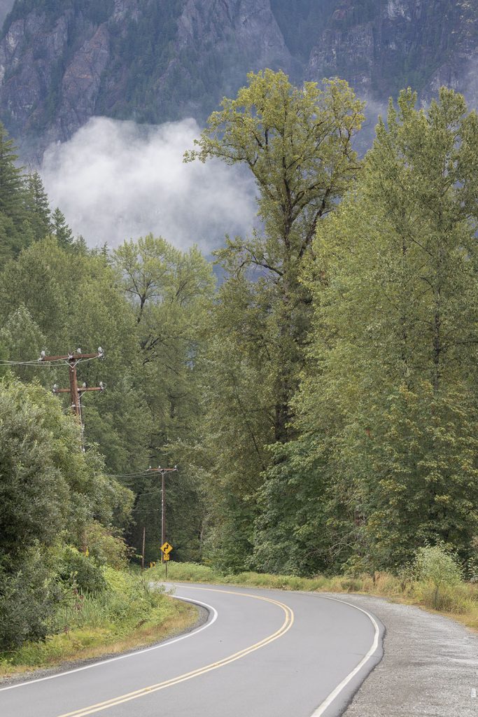 Trees along Reinig Road