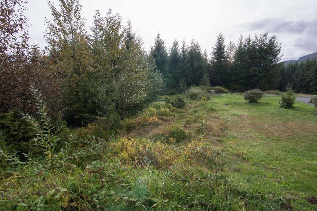 Snoqualmie Point Park in Snoqualmie, Washington
