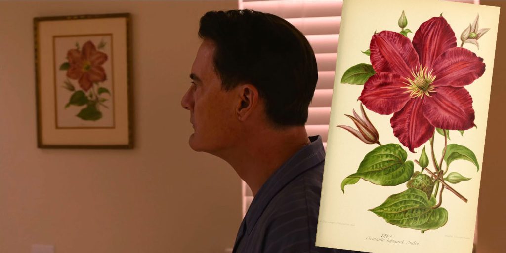 Dougie Jones approaching a mirror and Clematis artwork