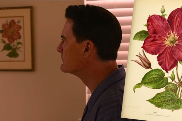 Dougie Jones approaching a mirror and Clematis artwork